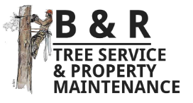 B&R Tree Service & Property Maintenance